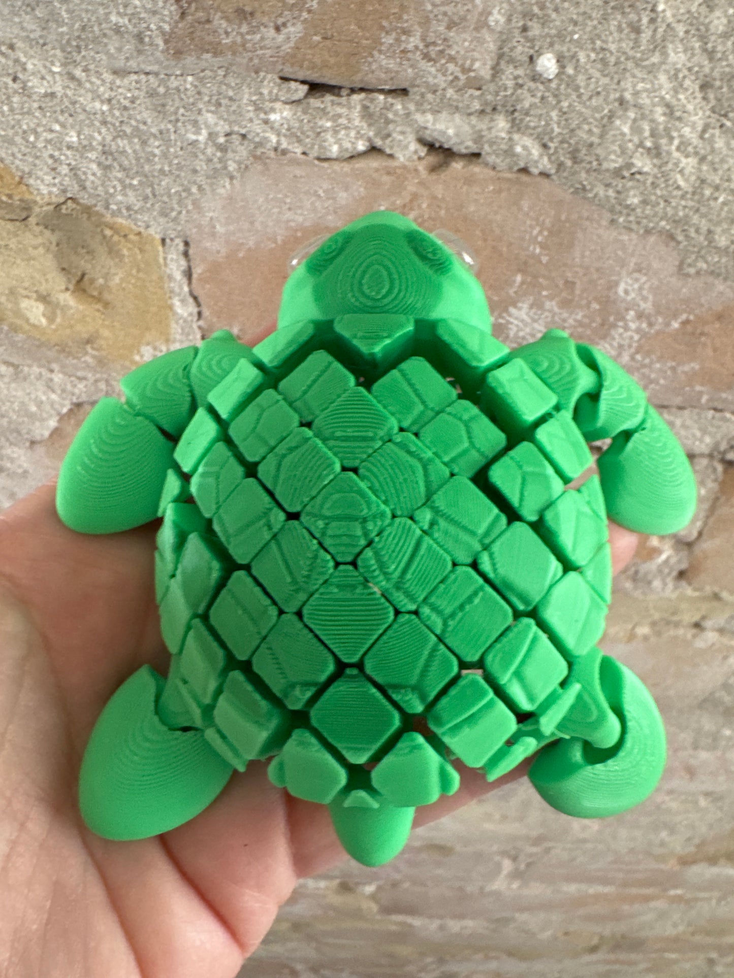 3D Flexi Sea Turtle