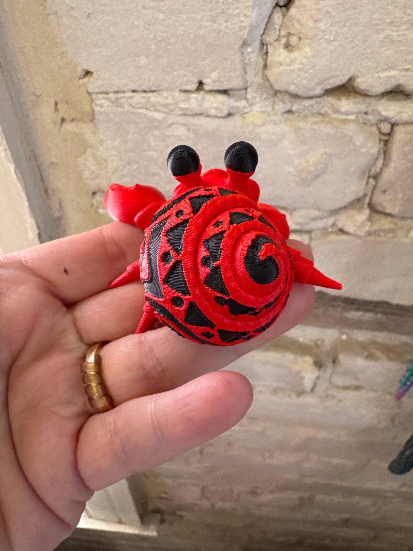 3D Hermit Crab