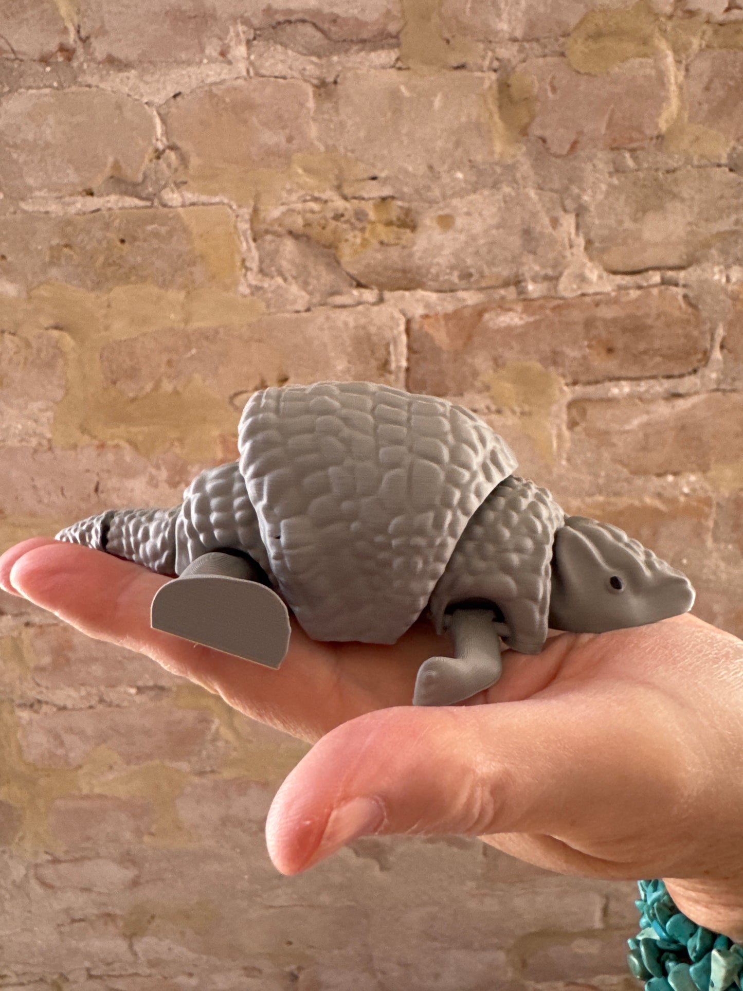 3D Armadillo