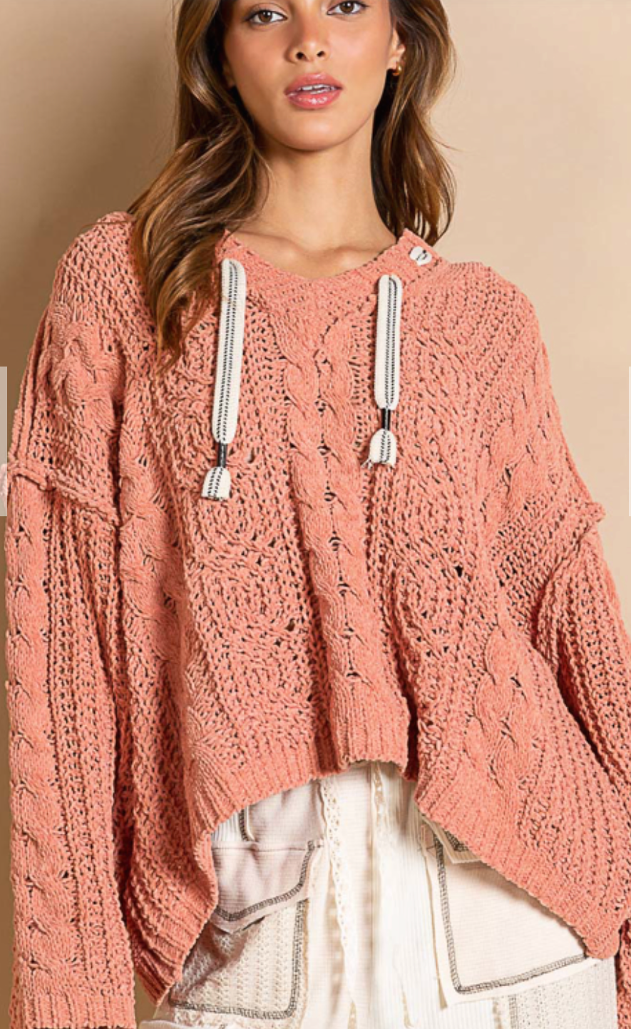 Super Soft Sweater Hoodie