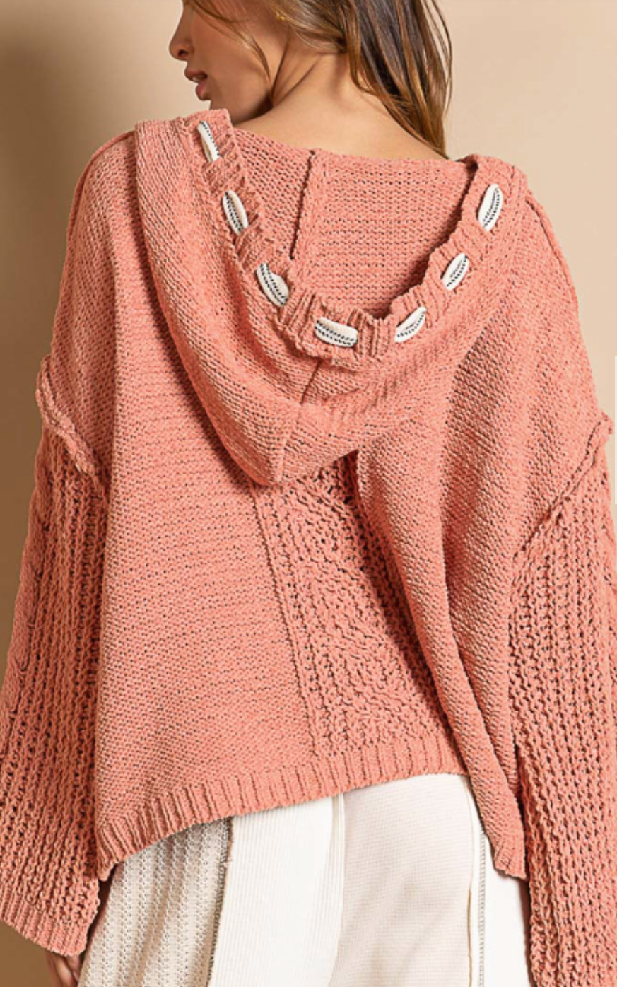 Super Soft Sweater Hoodie