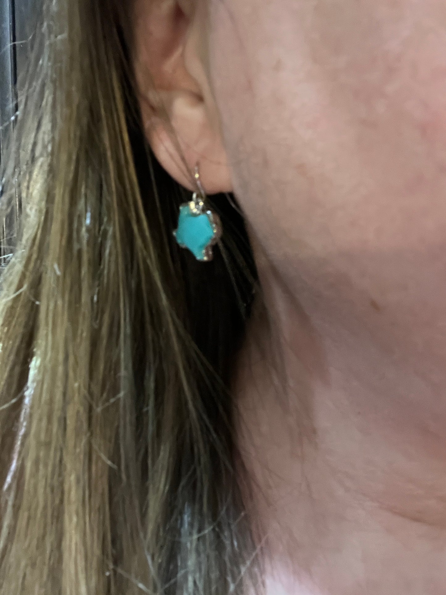 Favorite Texas Earrings