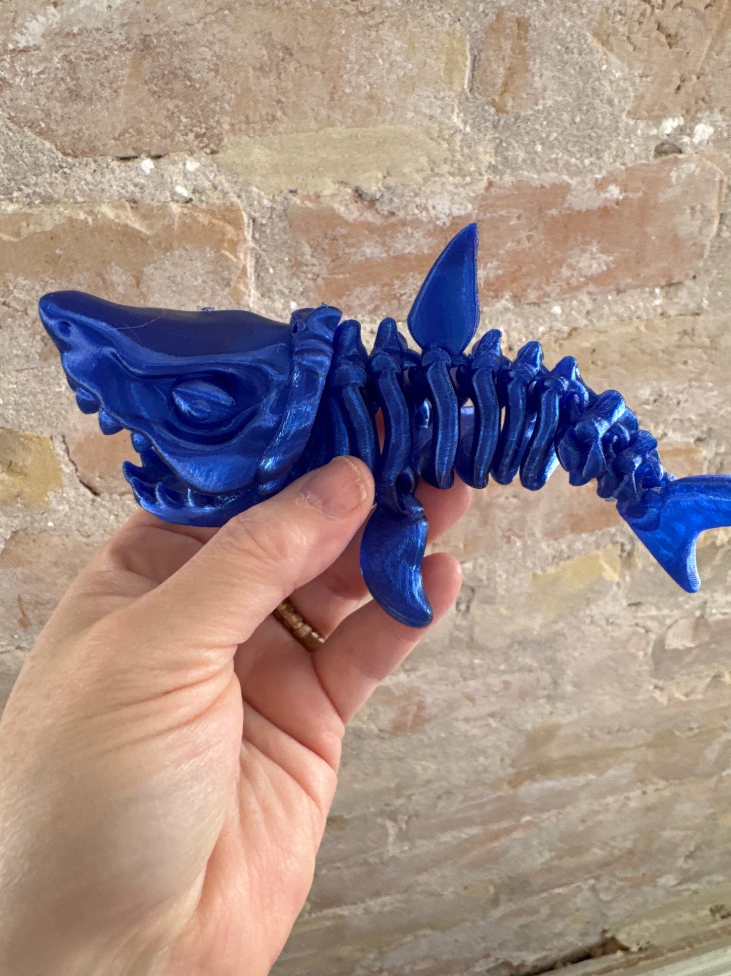 3D Megaladon Shark