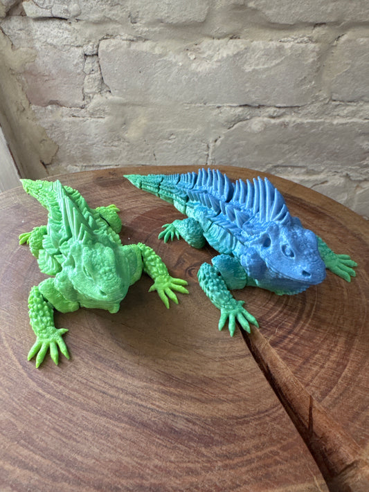 3D Iguana