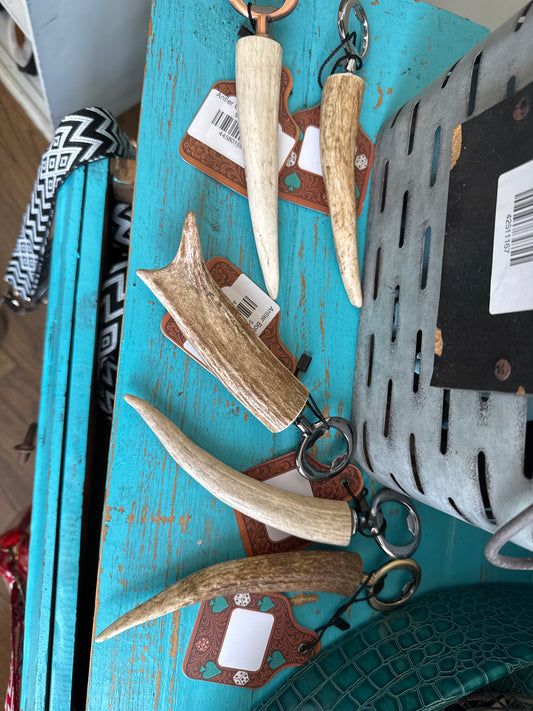 Antler Bottle Openers