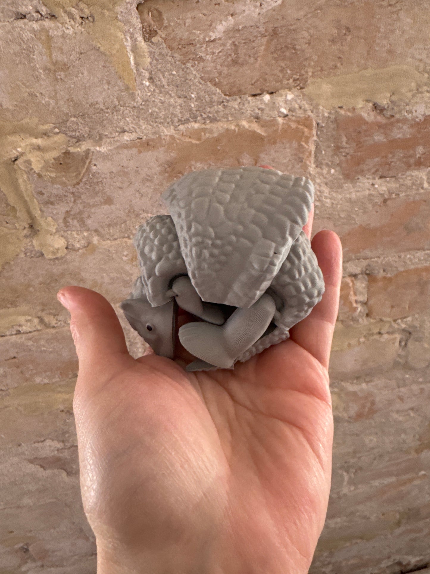 3D Armadillo