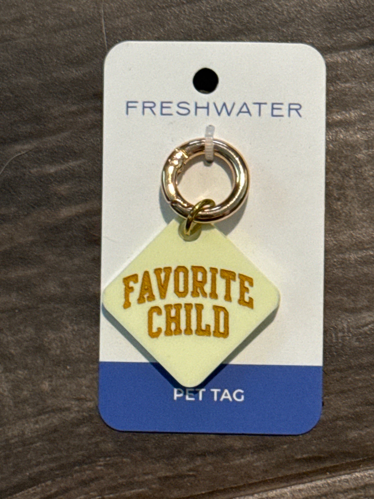 Favorite Child Pet Tag
