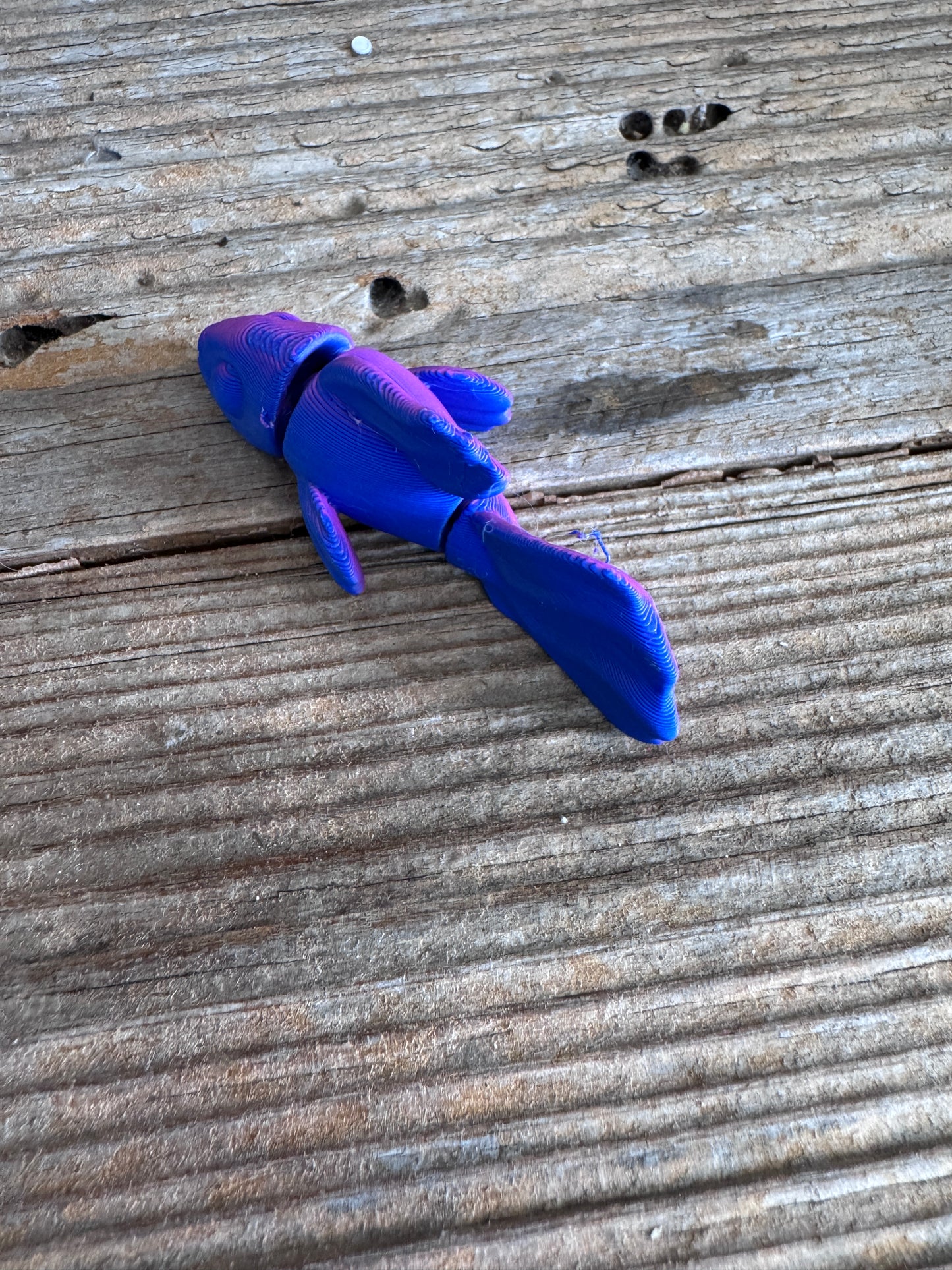 3D Mini Beta Fish