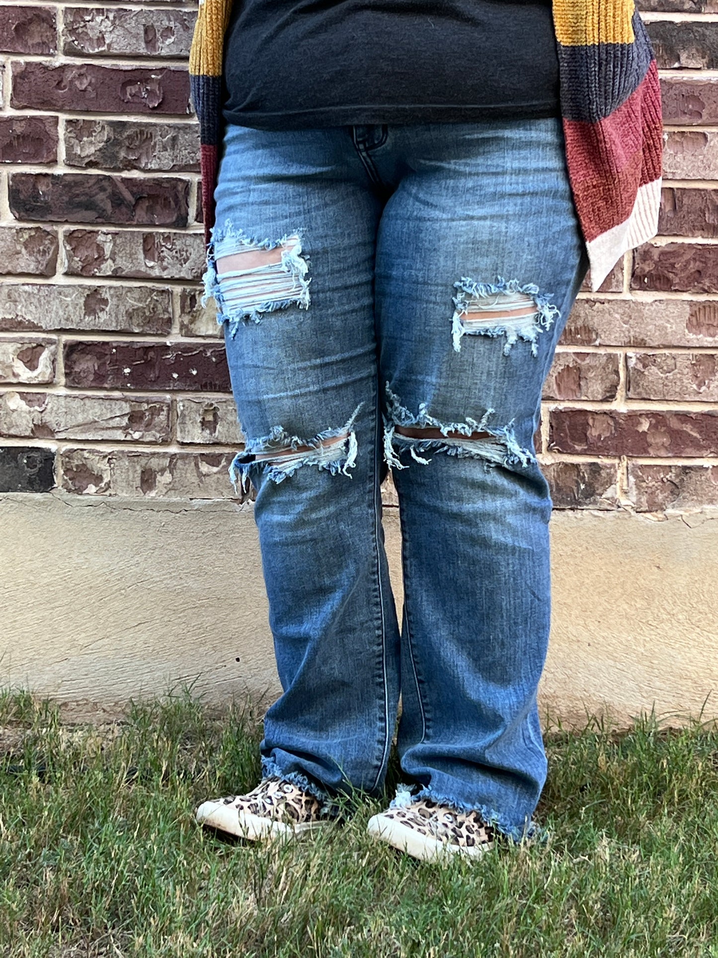 World's Best Jeans- Judy Blue