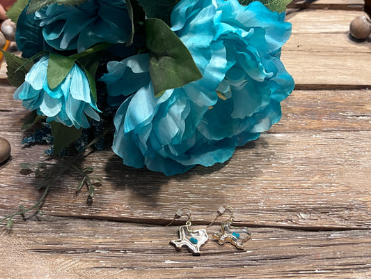 Pressed Texas Earrings