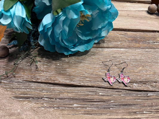 Steer Head Texas Earrings