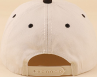 Literally Just A Cowgirl Cap