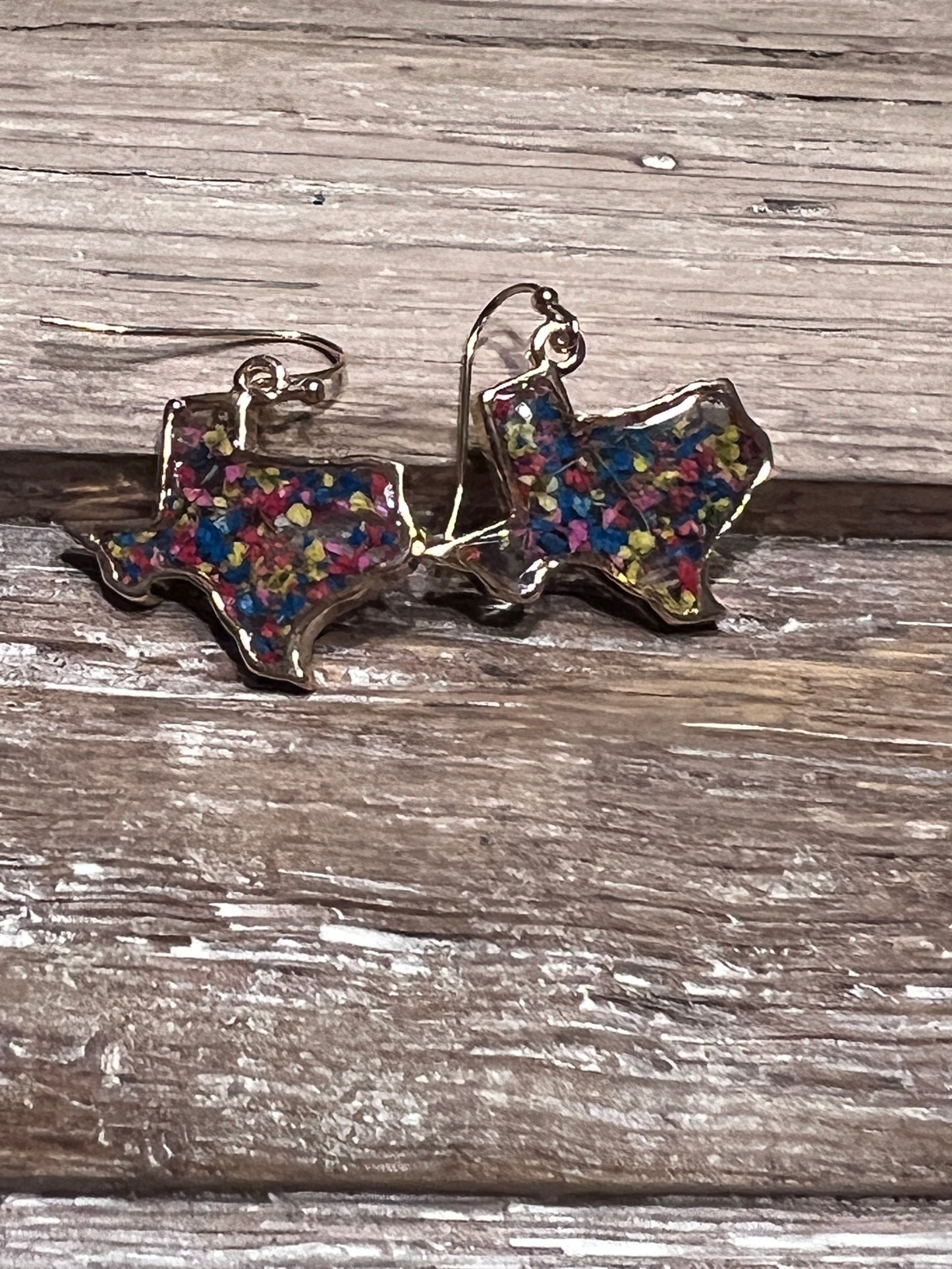 Pressed Texas Earrings