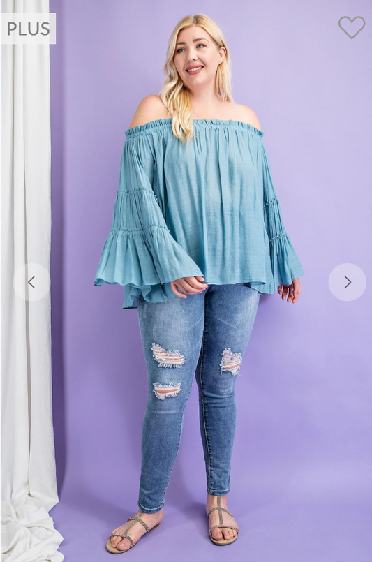 Plus Denim Blue Top